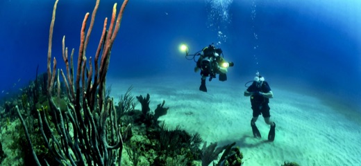 Two scuba divers at the bottom of the ocean exploring large green and orange coral